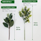 Pcs Mixed Eucalyptus Leaves Stems Bulk Silver Dollar Eucalyptus Stems Faux 48