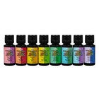 Color Change Fabric Paint Pack  Sunlight Activated  Works Best On Light Fabri   