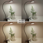 Clip On Light reading Light book Lights desk Lamp Color Changeable night Light C