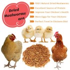 20 Lbs Dried Mealworms Bulk For Chickens Duck Hamsters Organic Meal Worms Luckyq