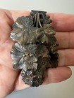 Antique Art Nouveau Brass Or Bronze Floral Dress Clip 1930s