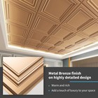 Art3d 12-pack Pvc Ceiling Tiles In Bronze  2x2ft Each  covering 48 Sq ft