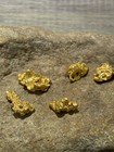 10lb Specimen Special   Guaranteed Gold Paydirt   Added Nuggets   Fines