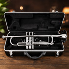 Silver Bb Trumpet Student Beginner School Band Concert With Hard Case Mouthpiece