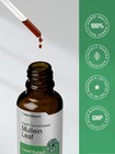 Mullein Drops For Lung  Mullein Leaf Extract  Super Concentrated Tincture