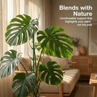 Plant Support Stakes - Durable 6pcs Set For Monstera And Climbing Plants