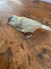 Antique Vienna Bronze European Greenfinch Cold Painted Austrian Bird C1900