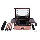 Rolling Makeup Case Aluminum Salon Cosmetic Train Trolley 4 Wheels Organizer Box
