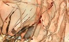 Morrisonite Picture Jasper Polished Specimen