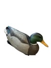 Avery Outdoors 2003-2004  Lot Of 7  Greenhead Gear Life Size Duck Decoys 