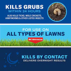 Bioadvanced 24 Hour Grub Killer Plus Granules  10 Lb Bag