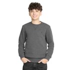 Calvin Klein Youth Boys French Terry Crewneck Sweater  Gray  Size L 14 16