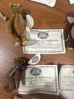 Cottage Collectibles Miniature Teddy Bears Lot Of 14     11 W  Coa      ref 211 