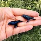 Miniature Raven - 1 12 Scale Mini Black Birds Sized Horror Diorama  Dollhouse