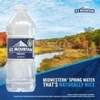     ice Mountain Spring Water 20 Oz Bottles 28 Pack Natural Water Free Shipping   