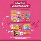Purina Friskies Gravy Wet Cat Food Variety Pack  Surfin    Turfin    Pack Of 40  5 5