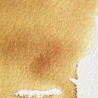 Artist Professional Watercolor Paint - Quinacridone Gold 37ml Tube