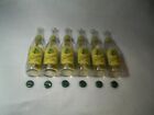 Vernors Ginger Ale 2000 Limited Edition 6 Pack Bottles   Carton
