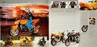 Kawasaki 2003 Street Motorcycles - Z1000  Zrx1200r  Zzr1200   Sales Brochure 