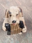 Antique Vienna  Cold-painted Bronze 4 Dog Band Musician Group  Austrian 