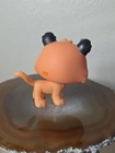Littlest Pet Shop Surprise Box Series 1 G7   18 Tiger  exotic  Orange Lps