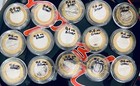 Lot Of 15  10 Casino Silver Strikes Las Vegas Casinos  999 Fine Pure  6 Ozt Each