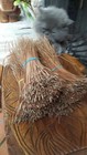 Long Leaf Pine Needles For Coil Basketry Weaving   Crafts 8  To 10  Long 500g