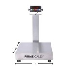 Digital 12    X 12    Bench Scale Ntep Weighing Receiving Scale 250lb X 0 05 Lb