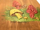 Vtg 70   s Tiny Mushroom Hand Painted Wood Wall Hanging Mcm Boho     4   x7   