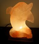 Xl Himalayan Salt Lamp Dolphin Carving Large Salt Light Natural Salt Stone 6lbs 