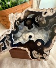 Polished Agate Slice Natural Geode Section 12 3 Oz Orbicular Pattern Black Gray