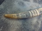 Scrimshaw Reproduction Walrus Tusk The Whaler  ionia  16  Long