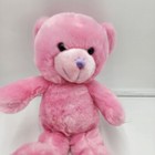 Dan Dee Pink Princess Teddy Bear Plush Soft Toy Stuffed Animal 10 