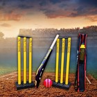 Professional Cricket Bat - Us Willow - English County Quality - Free Ship