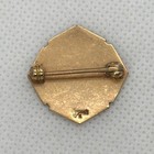 Vintage 1940s Shapero School Sinai Hospital Detroit 10k Gold Nursing Pin Medical