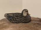 Ducks Unlimited  2 Banded Black Duck Drake Full Size Decoy By Jett Brunet Nib