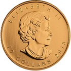 2013 1 2 Oz Canadian Gold Maple Leaf Coin
