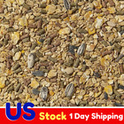 Kaytee Supreme Hamster   Gerbil Food  2 Lb  pack Of 1 