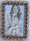 Decoration Vine Picture Frame Brown Hand Made With Swarovski Crystals Enamel
