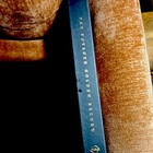 Voyager Golden Record Replica Nasa Program Astronauts   Space Travel Collectible