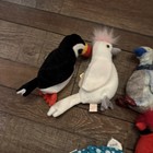 Ty Beanie Babies Bears Lot Of 12 All With Tags - Animals Birds Fish Ty6