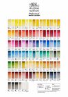 Winsor   Newton Artists Professional Quality Watercolor Paint Set - 12 Half Pans