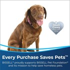 Bissell Crosswave Pet Pro Wet Dry Vacuum  2306a