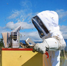 31pcs Beekeeping Starter Kit With Bee Suit  Smoker   Hive Tools  l 