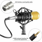 Professional Condenser Microphone For Studios And Home Recording