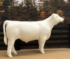 1 9 Traditional Show Steer Clubby Calf Model 3d Print For Breyer Horses Cattle