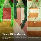 Bissell Little Green Multi-purpose Portable Carpet And Upholstery Cleaner- Read 