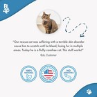 Cat Allergy Relief   Immune Support