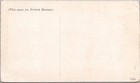 Vintage 1920s Federal Tires Advertising Postcard   Ink Blotter Card - Unused