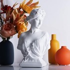 Venus Greek Young Goddess Bust Figurine Statue Home Decor Resin Crafts Sculpture